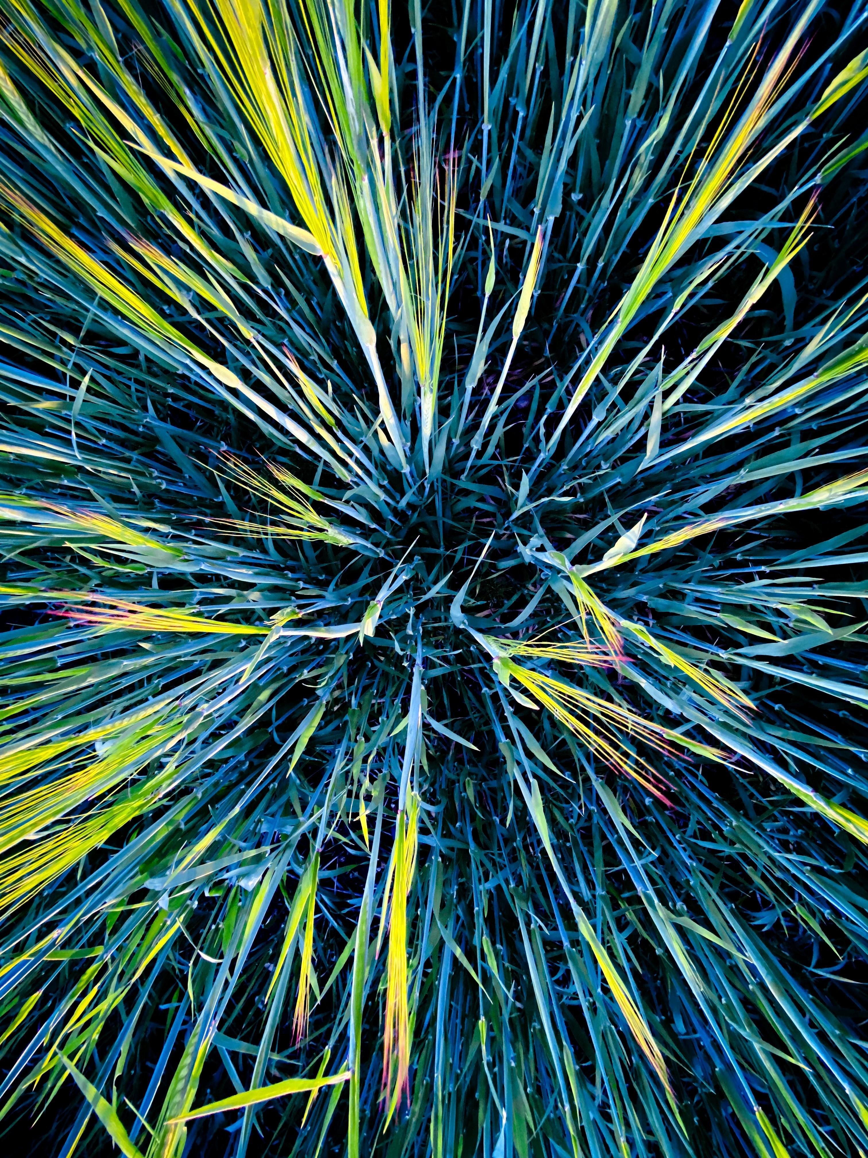 Spotlight on ⁣<a href=
