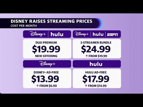Is the rise in streaming prices pushing users toward piracy
