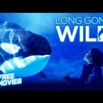 The Best Nature Documentaries That Will Leave You in Awe