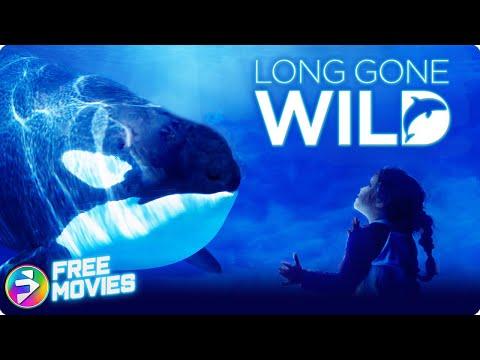 The Best Nature Documentaries That Will Leave You in Awe