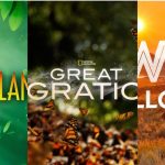 Must-Watch Nature Documentaries to Inspire Your Next Adventure