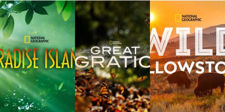 Must-Watch Nature Documentaries to Inspire Your Next Adventure