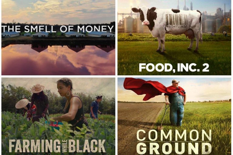 Must-watch documentaries about environmental conservation efforts