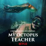 Best Nature Documentaries for Animal Lovers