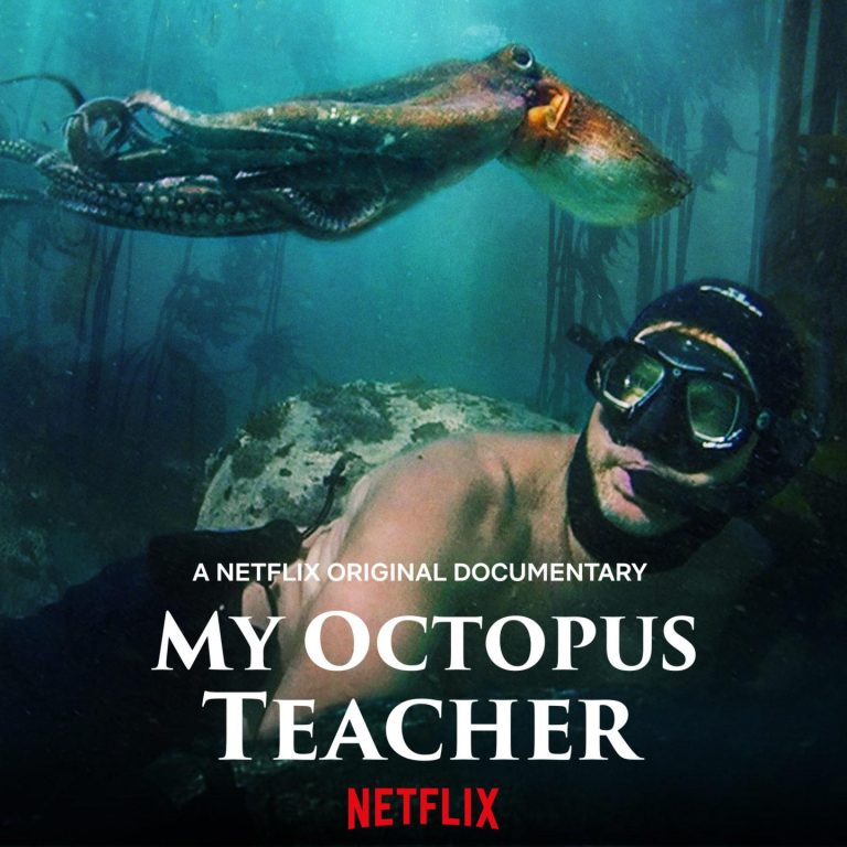 Best Nature Documentaries for Animal Lovers