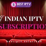Affordable streaming services with the largest content libraries