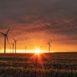 The Most Eye-Opening Environmental Documentaries Available This Year