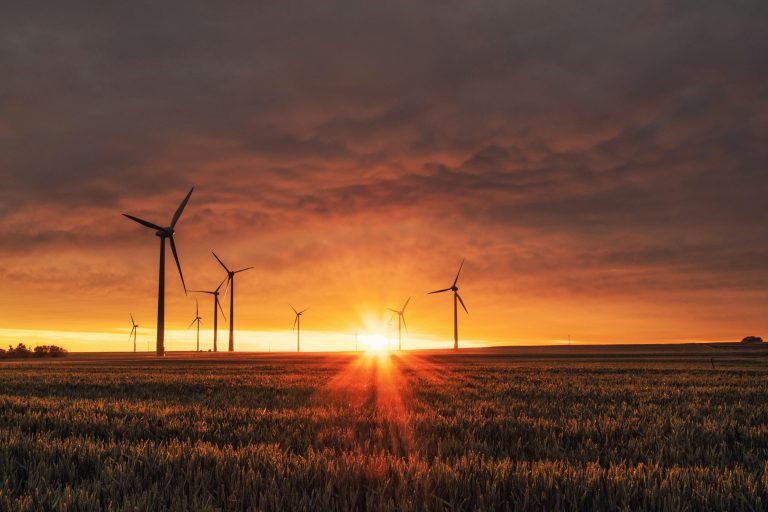 The Most Eye-Opening Environmental Documentaries Available This Year