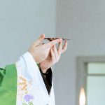 Is Peacock Premium Worth It A Full Breakdown of Features and Costs