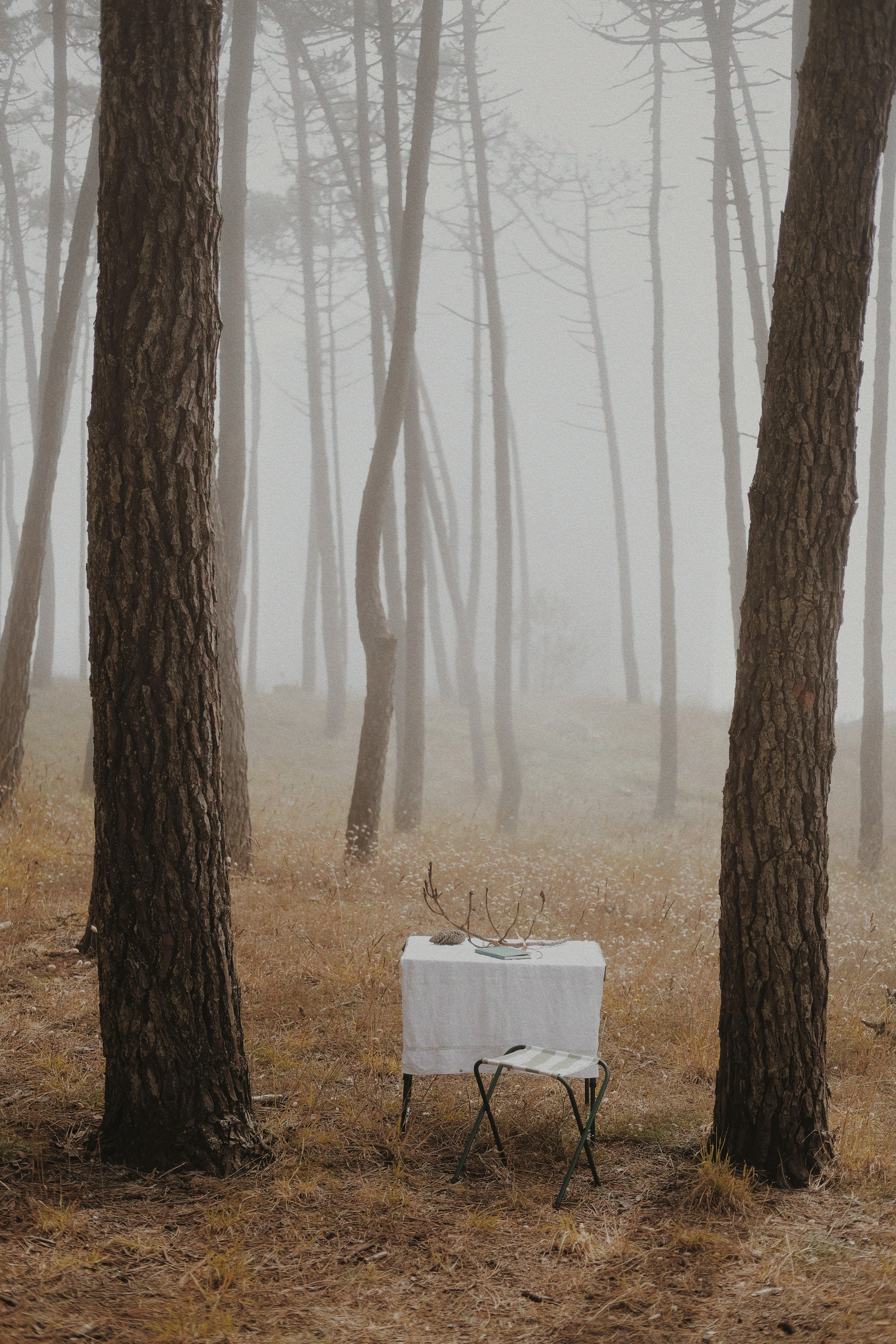 Narrative ​Excellence: Unpacking Storytelling Mastery in Lesser-Known Shows