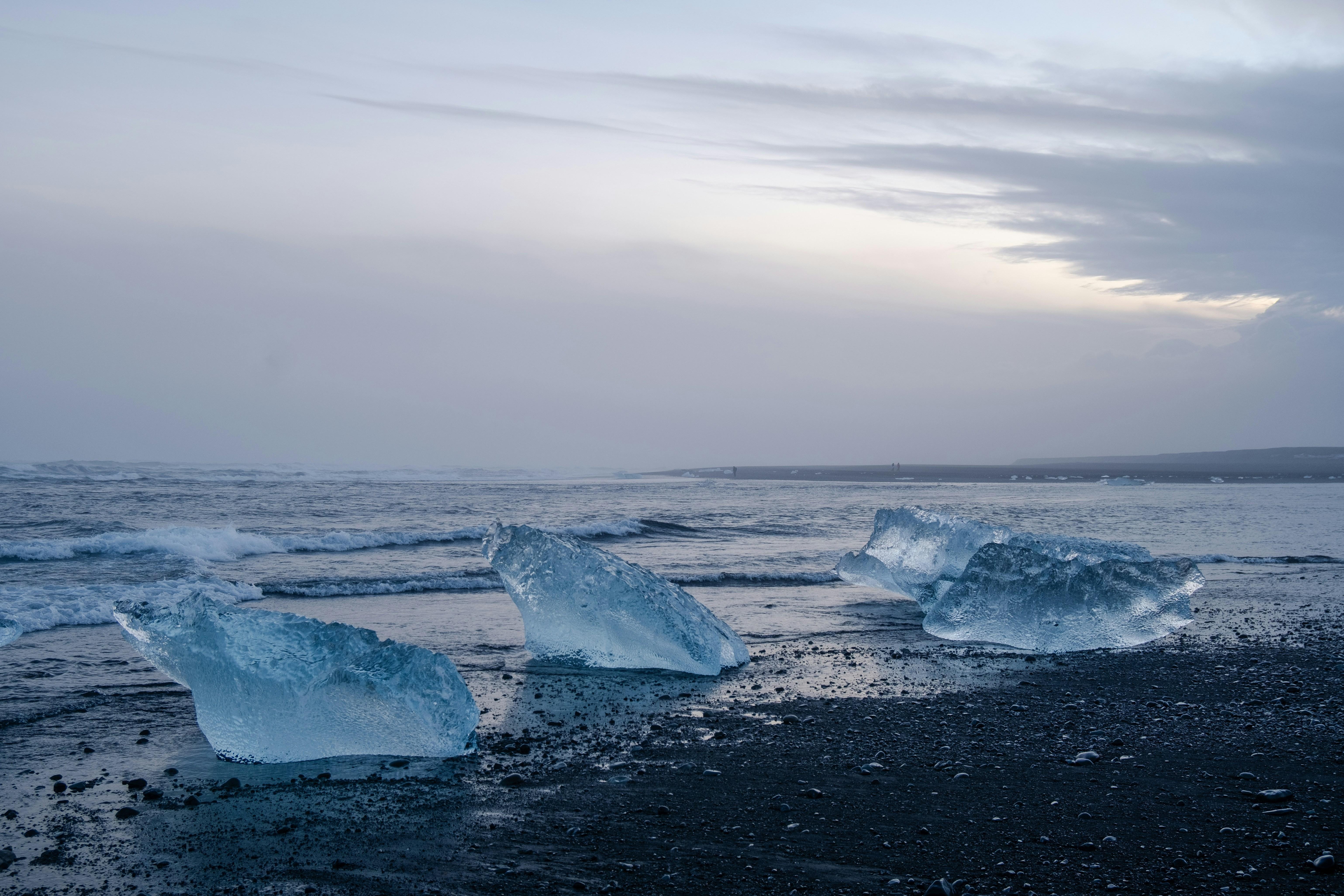 Highlighting Hidden Gems and Underrated Favorites