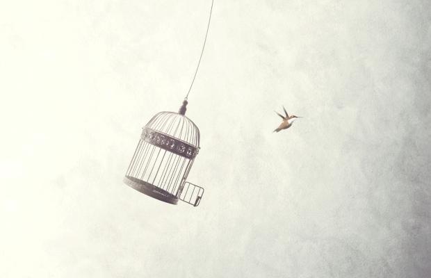 Balancing Creative Freedom with Audience Expectations